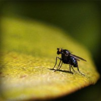 /album/ubqtmv/photolia-a07-jpg/