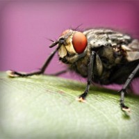 /album/ubqtmv/photolia-a08-jpg/